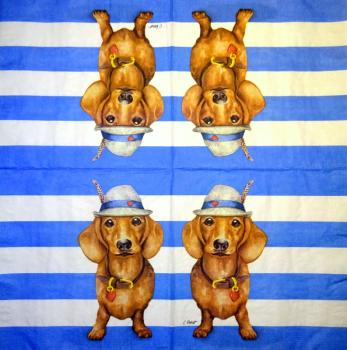 HUN-025 Dogs - 3-ply - ppd - Carola Pabst